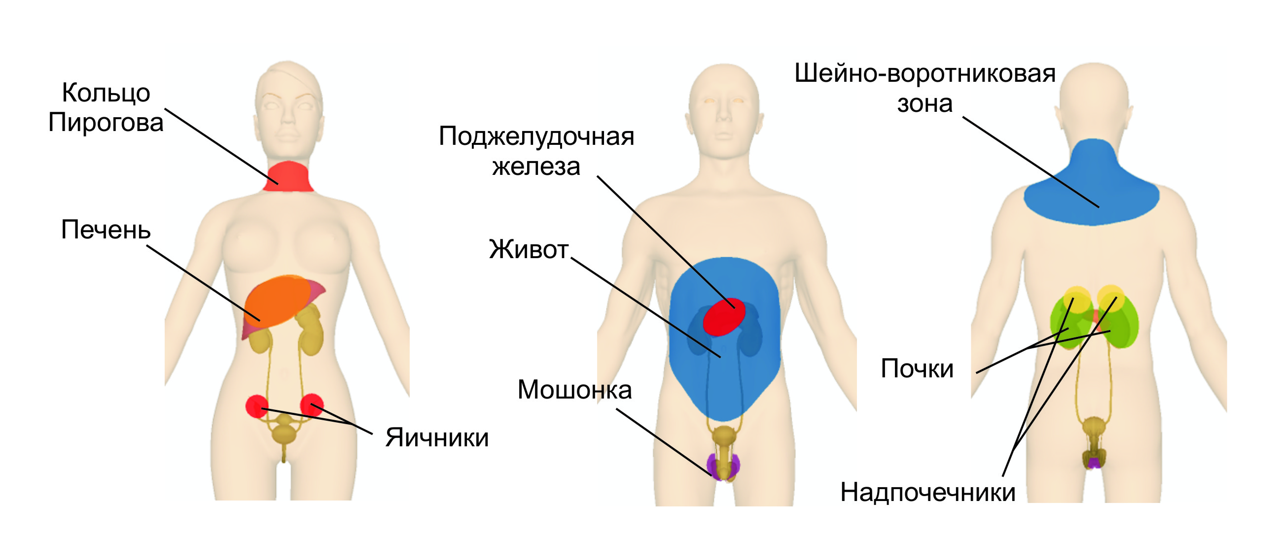 6.2